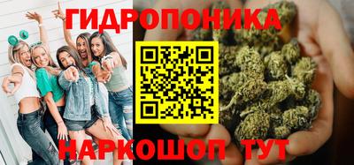 крисы Ставрополь