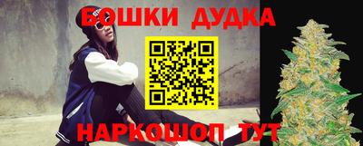 крисы Ставрополь