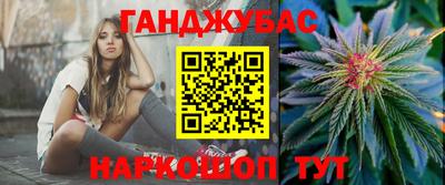 крисы Ставрополь