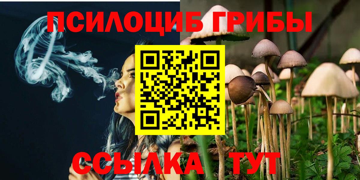 Псилоцибиновые грибы Cubensis  как найти   Петропавловск-Камчатский  Вход с VPN 